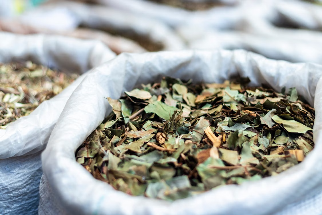 Getrocknete ayurvedische Heilkräuter und Blätter